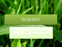 ECOLOGY PART I.pptx